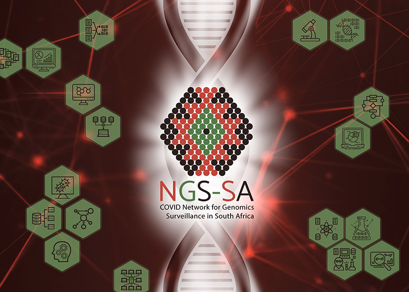 Network for Genomics Surveillance in South Africa - NGS-SA